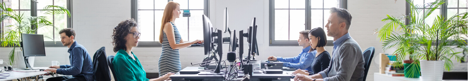 A group of coworkers at desks in an open office